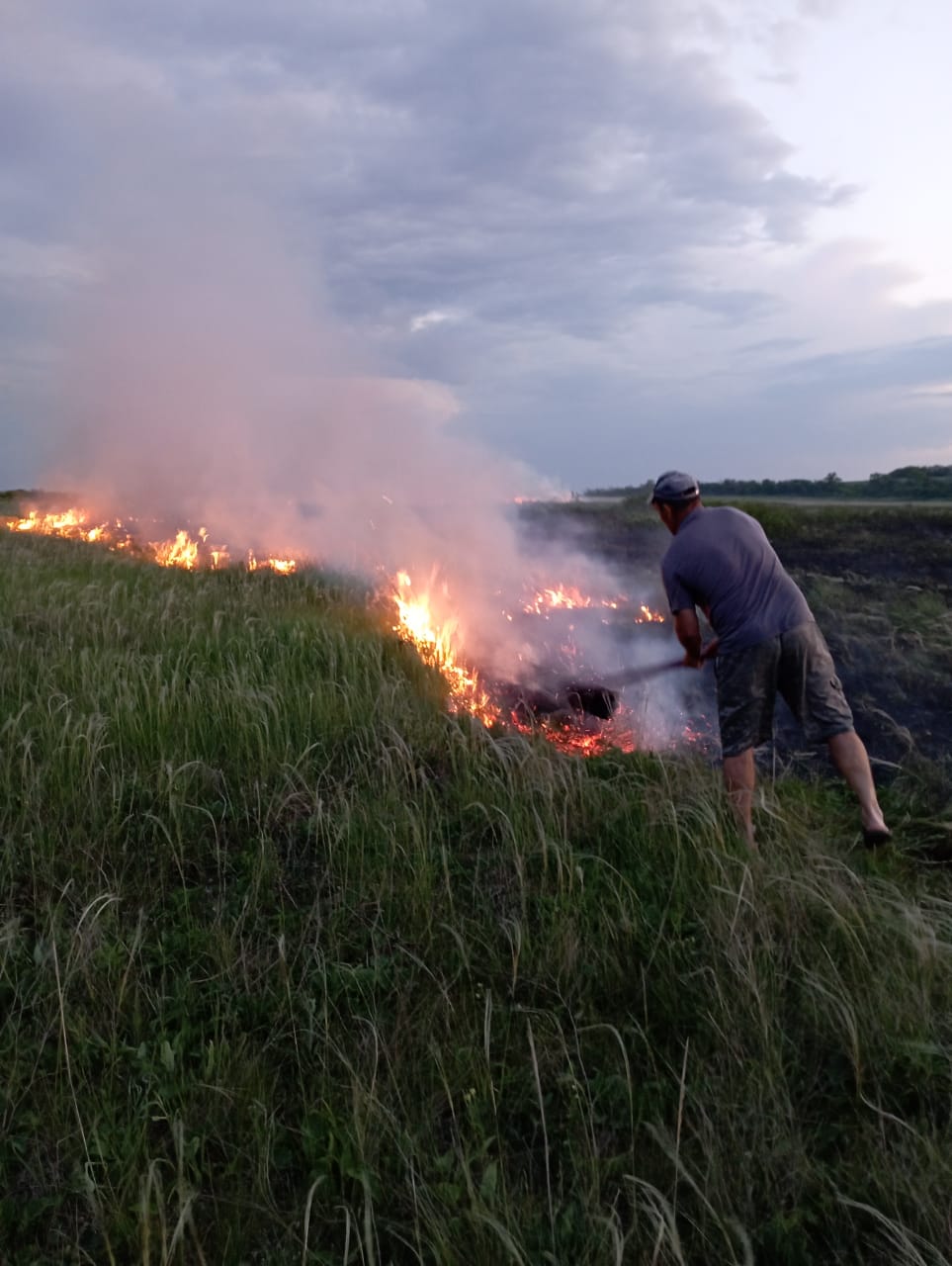 Берегите природу от пожара.